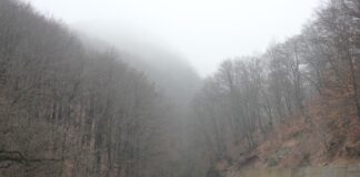 Nostalgii de iarnă – La mijloc de Făurar, revenire pe Dâlma Cucutelor din lumea carstului gorjean