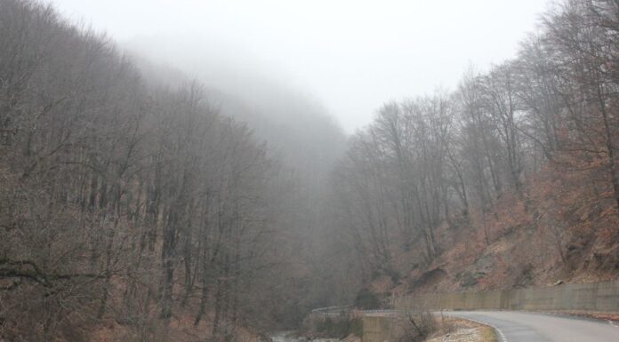 Nostalgii de iarnă – La mijloc de Făurar, revenire pe Dâlma Cucutelor din lumea carstului gorjean