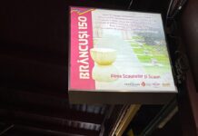 VIDEO: Expoziție inedită Brâncuși în gara din Petroșani