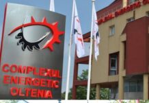 Top companii în Gorj: CE Oltenia rămâne pe primul loc, Artego completează podiumul