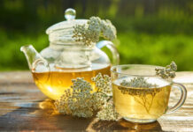 Agricultura pe înțelesul tuturor – Cum să ne protejăm ecologic grădina, casa și gospodăria (7)