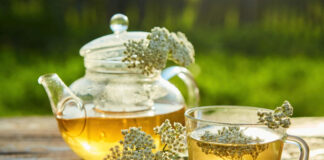 Agricultura pe înțelesul tuturor – Cum să ne protejăm ecologic grădina, casa și gospodăria (7)