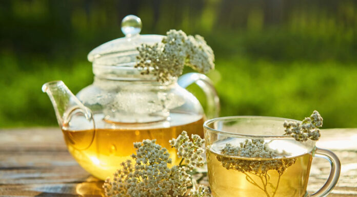 Agricultura pe înțelesul tuturor – Cum să ne protejăm ecologic grădina, casa și gospodăria (7)