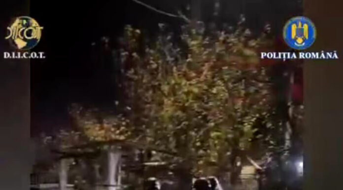 Hotărârea judecătorilor pentru cuplul care și-a vândut bebelușul cu 7.000 de euro și pentru ,,cumpărătorul” din Gorj