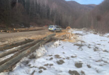 Descoperirea făcută de polițiști în cazul unui bărbat care a furat lemne dintr-un canton din Baia de Fier