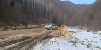 Descoperirea făcută de polițiști în cazul unui bărbat care a furat lemne dintr-un canton din Baia de Fier
