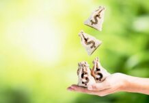 Puterea de cumpărare este scăzută, dar bunăstarea dumneavoastră este în propriile mâini