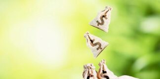 Puterea de cumpărare este scăzută, dar bunăstarea dumneavoastră este în propriile mâini