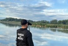 Mediu | Sumă record strânsă din amenzi: 3,3 milioane de lei