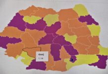 Gorjul, sub pragul de 2% din PIB-ul național. Județul contribuie cu doar 1,18% la economia României