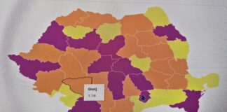 Gorjul, sub pragul de 2% din PIB-ul național. Județul contribuie cu doar 1,18% la economia României