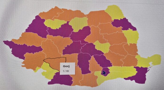Gorjul, sub pragul de 2% din PIB-ul național. Județul contribuie cu doar 1,18% la economia României