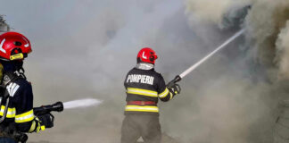 Incendiu puternic la o hală de producție a peleților din Târgu-Cărbunești