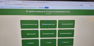 Infotouch pus în funcțiune la sediul AJOFM Gorj