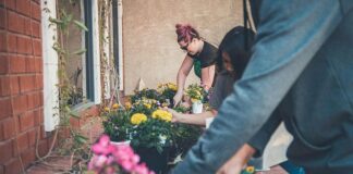 Curățenia de primăvară în grădină: startul care face diferența tot anul