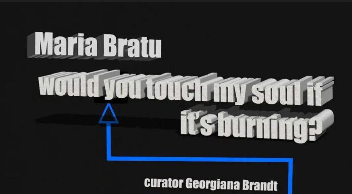 Expoziție de artă contemporană la Târgu Jiu