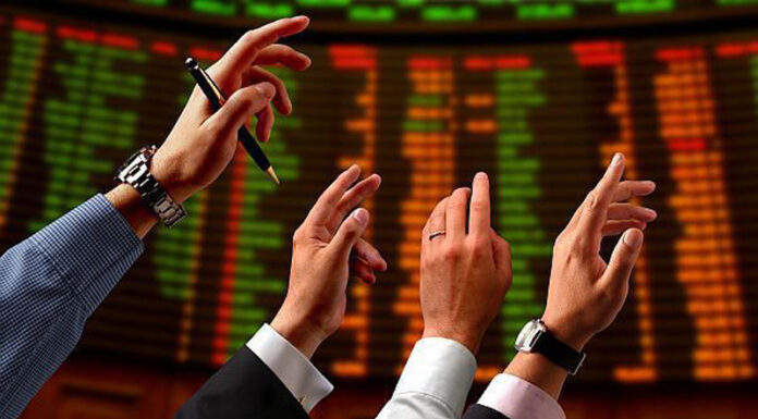 Acționarii CEO, ședințe ZERO în ianuarie