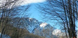 Atitudini hibernale – De Făurar, revenire în vecinătatea Pietrei Cloșanilor