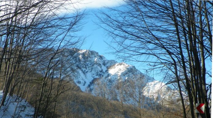 Atitudini hibernale – De Făurar, revenire în vecinătatea Pietrei Cloșanilor