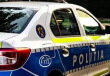 Bărbat reținut după ce i-a ucis câinele fiului său, cu o lovitură de secure în cap