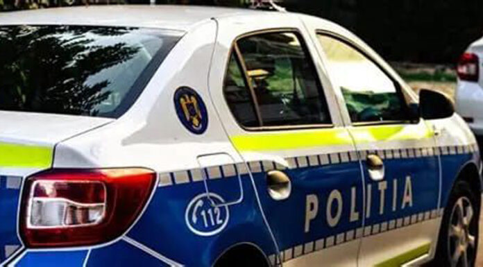 Bărbat reținut după ce i-a ucis câinele fiului său, cu o lovitură de secure în cap