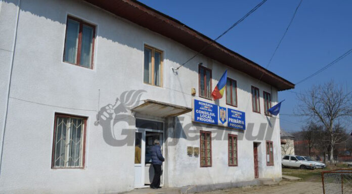 Investiție de peste 9,5 milioane de lei la Prigoria, prin „Anghel Saligny”