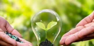 Agricultura pe înțelesul tuturor – Cum să ne protejăm ecologic grădina, casa și gospodăria (8)