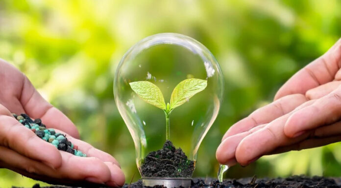 Agricultura pe înțelesul tuturor – Cum să ne protejăm ecologic grădina, casa și gospodăria (8)