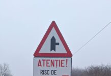 DRDP Craiova: Risc de roaming involuntar la granița cu Serbia