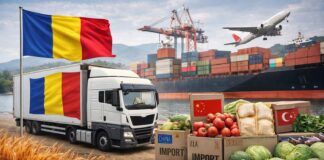 România privește cum propria economie se prăbușește: miliarde pierdute, mii de locuri de muncă dispărute