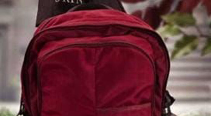 Rucsac furat, cu o sumă importantă de bani, găsit de polițiști