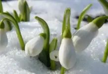 Va ninge timp de trei zile