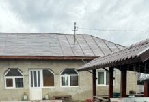 Protecția Animalelor Gorj, acțiuni de Ziua Internațională a Sterilizării