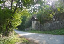 Luna pădurii – Continuarea unei tradiţii – Sărbătoarea sădirii arborilor