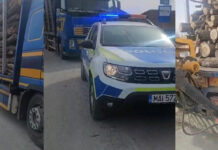 Acțiune de amploare a polițiștilor din Novaci