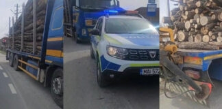 Acțiune de amploare a polițiștilor din Novaci