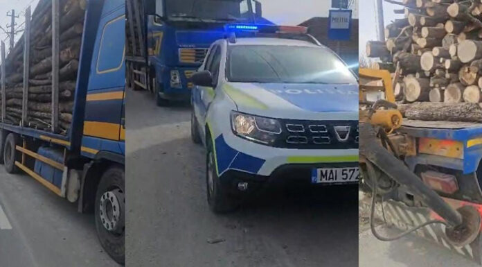 Acțiune de amploare a polițiștilor din Novaci