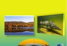 Consultare publică pentru gospodărirea Jiului