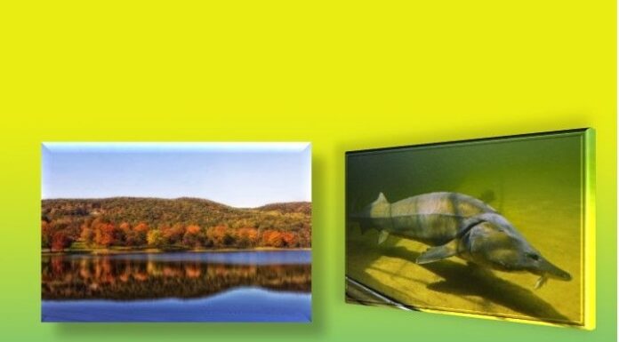 Consultare publică pentru gospodărirea Jiului