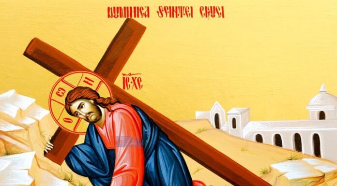 Viaţa Spirituală – Calea, Lumina, Adevărul şi Viaţa – Dumnezeu ne arată că rostul și înțelesul duhovnicesc al prăznuirii constă în faptul că fiecare dintre noi trebuie să ne asumăm Crucea şi să o cinstim în toată viaţa noastră!