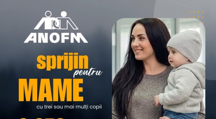 Subvenții pentru firmele care angajează mame cu trei sau mai mulți copii
