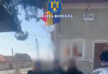 Trei hoți, prinși cu ajutorul ,,detectivei” Gica