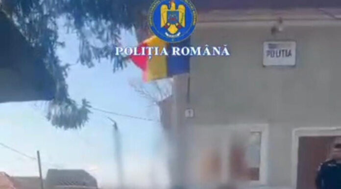 Trei hoți, prinși cu ajutorul ,,detectivei” Gica