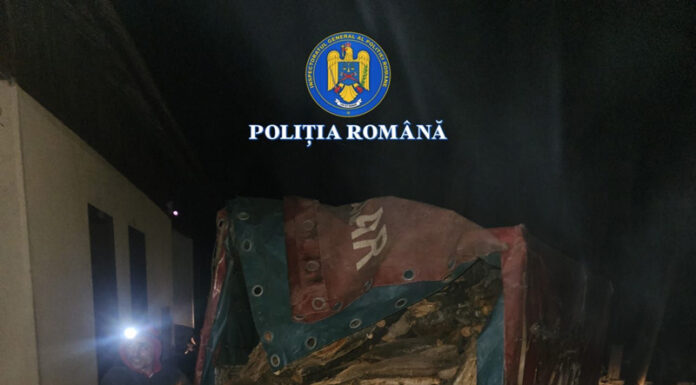Lemne furate din pădurile din Polovragi, depistate în trafic