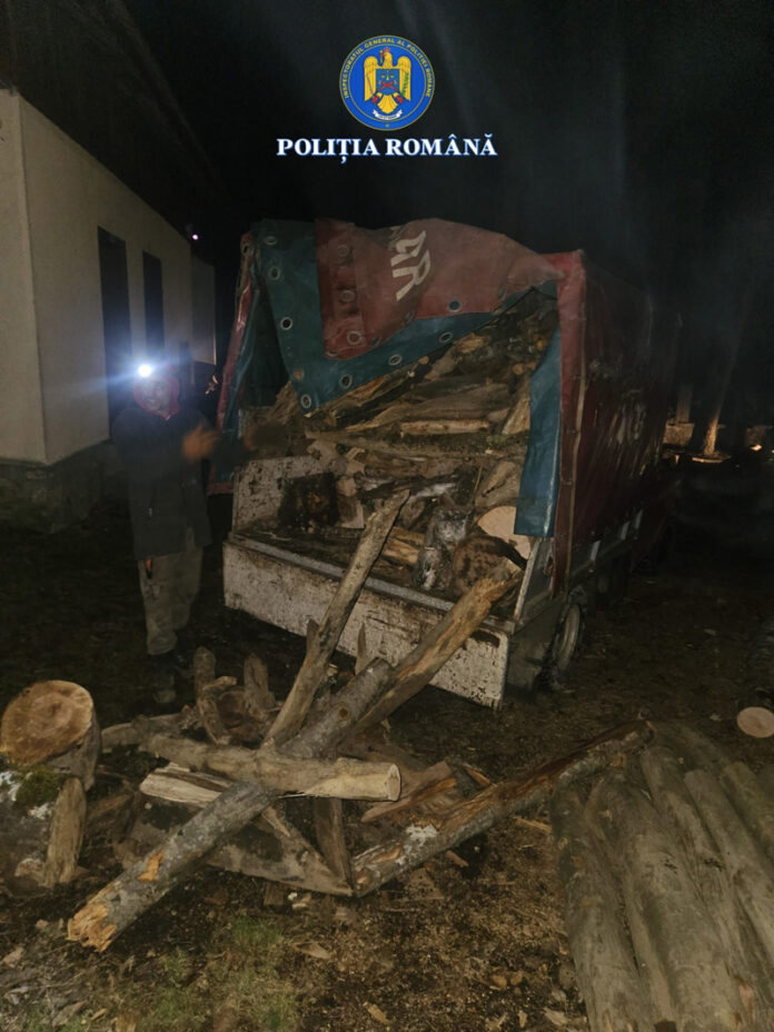 Lemne furate din pădurile din Polovragi, depistate în trafic