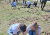 Plantare de puieți la Baia de Fier. Au participat și elevii