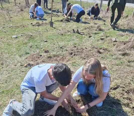 Plantare de puieți la Baia de Fier. Au participat și elevii