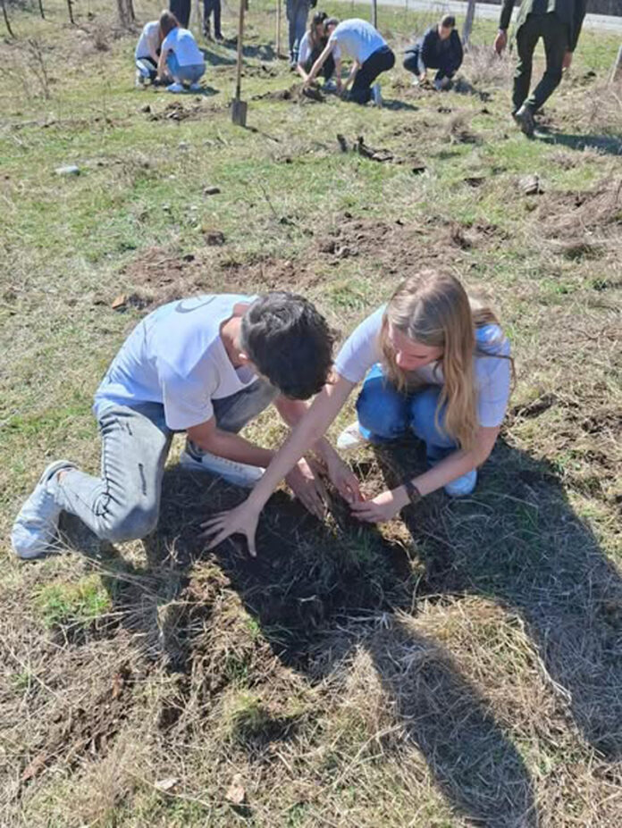 Plantare de puieți la Baia de Fier. Au participat și elevii