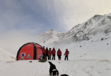 Unitățile Canine Salvamont, într-un stagiu de reconfirmare