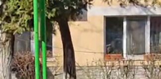 A debutat „Luna Curățeniei” la Târgu Jiu